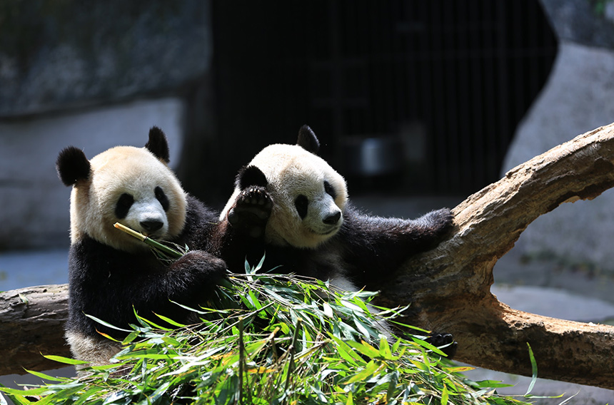 生物多样性；